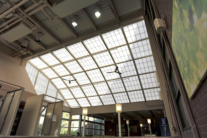 Juravinski Hospital Atrium